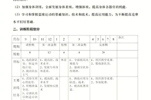 幼儿园篮球训练计划表格